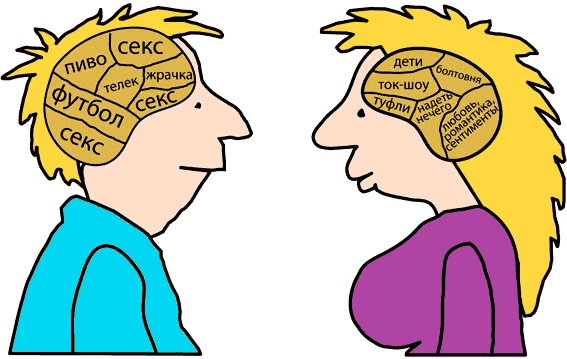 Иллюстрация к книге — Код настоящей женщины [i_002.jpg]