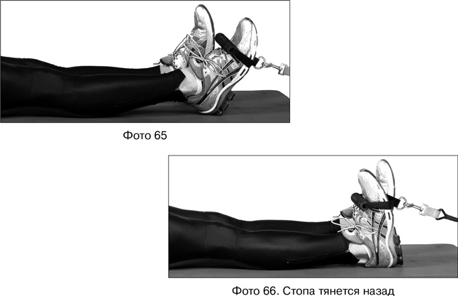 Иллюстрация к книге — Фитнес после 40. В прекрасной форме в любом возрасте [i_080.jpg]