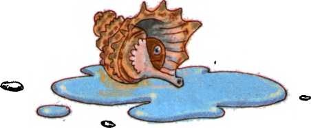 Иллюстрация к книге — О бегемоте, который боялся прививок [i_030.jpg]