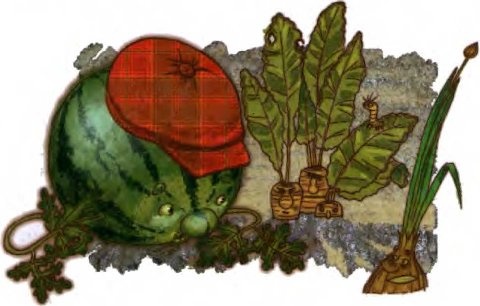 Иллюстрация к книге — О бегемоте, который боялся прививок [i_036.jpg]