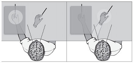 Иллюстрация к книге — Наука о мозге и миф о своем Я. Тоннель Эго [i_001.jpg]