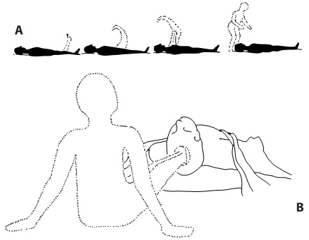 Иллюстрация к книге — Наука о мозге и миф о своем Я. Тоннель Эго [i_007.jpg]