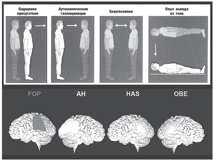 Иллюстрация к книге — Наука о мозге и миф о своем Я. Тоннель Эго [i_008.jpg]