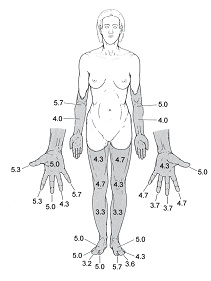 Иллюстрация к книге — Наука о мозге и миф о своем Я. Тоннель Эго [i_016.jpg]