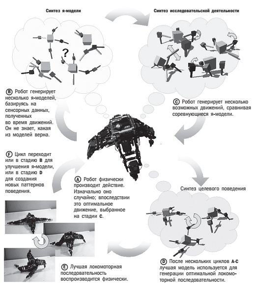 Иллюстрация к книге — Наука о мозге и миф о своем Я. Тоннель Эго [i_022.jpg]