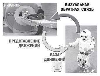 Иллюстрация к книге — Наука о мозге и миф о своем Я. Тоннель Эго [i_023.jpg]