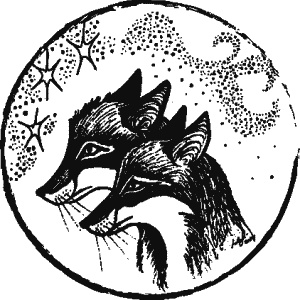 Иллюстрация к книге — Дикая магия [_223.jpg]