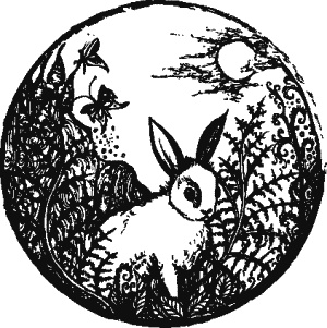 Иллюстрация к книге — Дикая магия [_251.jpg]