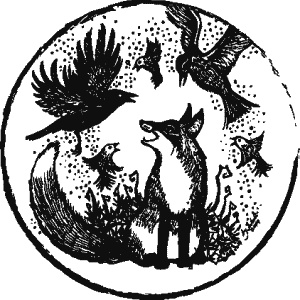 Иллюстрация к книге — Дикая магия [_282.jpg]