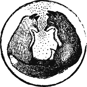 Иллюстрация к книге — Дикая магия [_312.jpg]