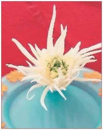 Иллюстрация к книге — Как украсить праздничный стол [i_020.jpg]