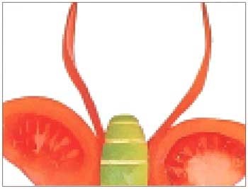 Иллюстрация к книге — Как украсить праздничный стол [i_076.jpg]