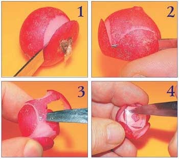 Иллюстрация к книге — Как украсить праздничный стол [i_091.jpg]