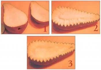 Иллюстрация к книге — Как украсить праздничный стол [i_133.jpg]