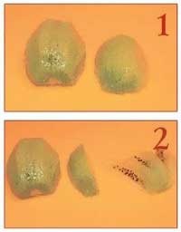 Иллюстрация к книге — Как украсить праздничный стол [i_143.jpg]