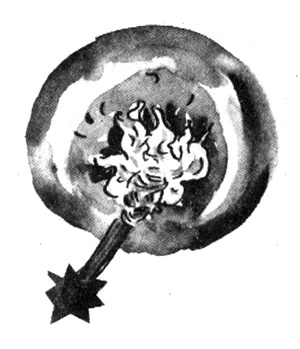 Иллюстрация к книге — Световая азбука. Две сестры, два ветра [i_014.jpg]