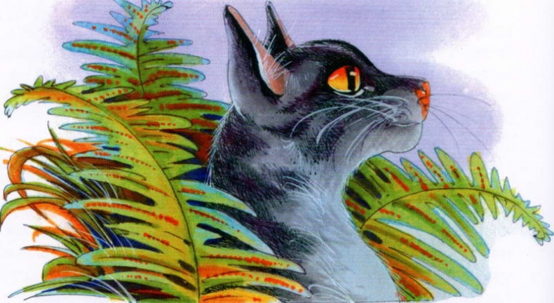 Иллюстрация к книге — Память племен. Путеводитель по серии "Коты-воители" [pic_22.jpg]