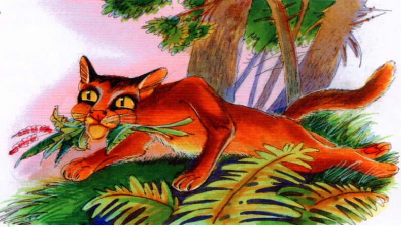 Иллюстрация к книге — Память племен. Путеводитель по серии "Коты-воители" [pic_25.jpg]