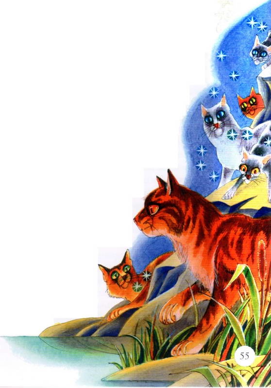 Иллюстрация к книге — Память племен. Путеводитель по серии "Коты-воители" [pic_28.jpg]