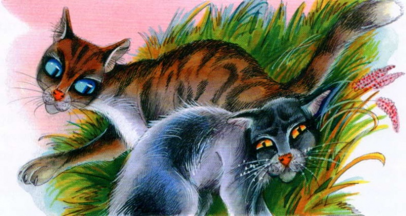 Иллюстрация к книге — Память племен. Путеводитель по серии "Коты-воители" [pic_35.jpg]