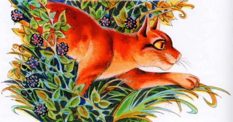 Иллюстрация к книге — Память племен. Путеводитель по серии &quot;Коты-воители&quot; [pic_36.jpg]