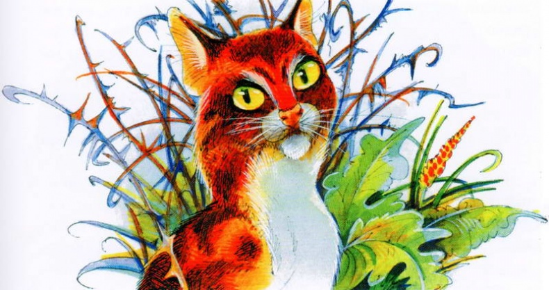 Иллюстрация к книге — Память племен. Путеводитель по серии &quot;Коты-воители&quot; [pic_38.jpg]