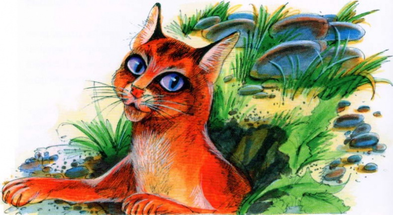 Иллюстрация к книге — Память племен. Путеводитель по серии "Коты-воители" [pic_48.jpg]