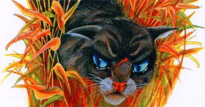 Иллюстрация к книге — Память племен. Путеводитель по серии "Коты-воители" [pic_56.jpg]