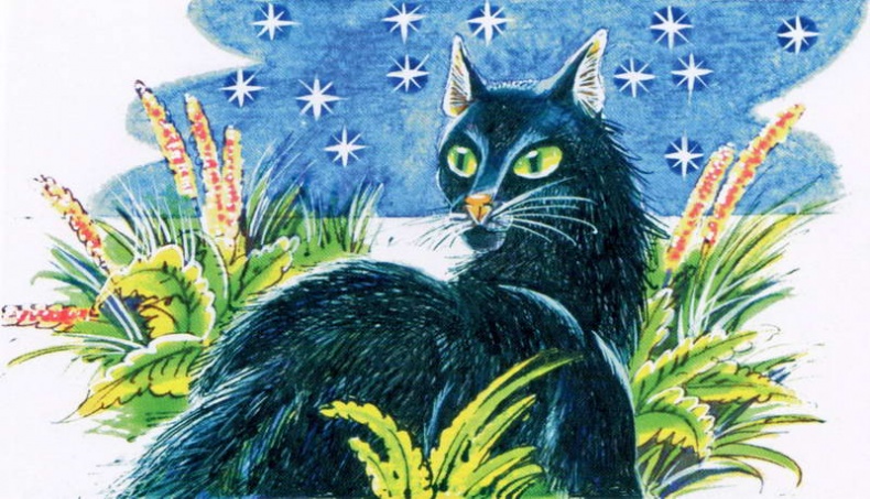 Иллюстрация к книге — Память племен. Путеводитель по серии "Коты-воители" [pic_72.jpg]