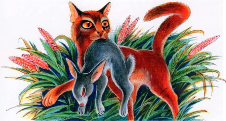 Иллюстрация к книге — Память племен. Путеводитель по серии "Коты-воители" [pic_73.jpg]