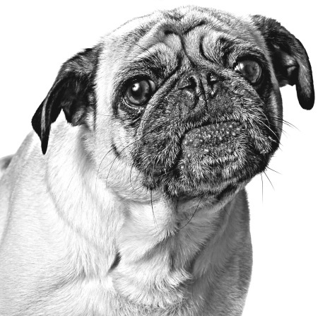 Иллюстрация к книге — Как стать звездой YouTube. Экстра_Эбби: Бунтарка [i_023.jpg]