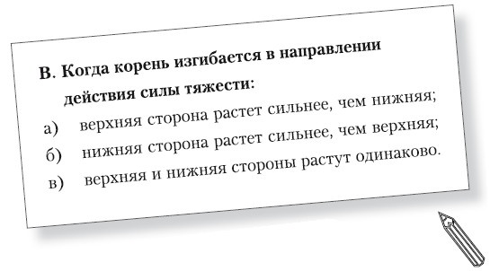 Иллюстрация к книге — Как стать звездой YouTube. Экстра_Эбби: Бунтарка [i_053.jpg]