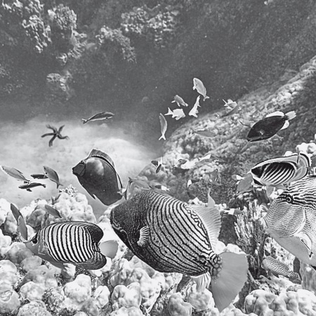 Иллюстрация к книге — Как стать звездой YouTube. Экстра_Эбби: Бунтарка [i_153.jpg]