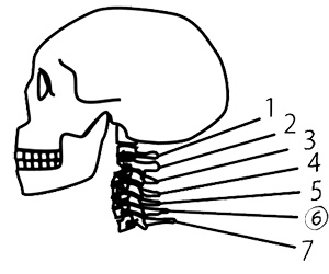 Иллюстрация к книге — Маленькие японские хитрости II [i_061.jpg]