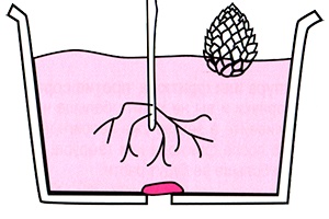 Иллюстрация к книге — Маленькие японские хитрости II [i_064.jpg]