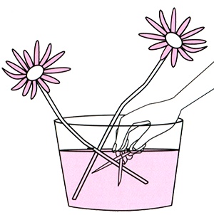 Иллюстрация к книге — Маленькие японские хитрости II [i_065.jpg]