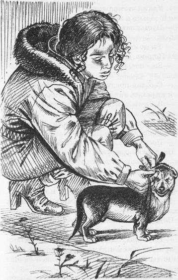 Иллюстрация к книге — Исполнитель желаний [i_002.jpg]