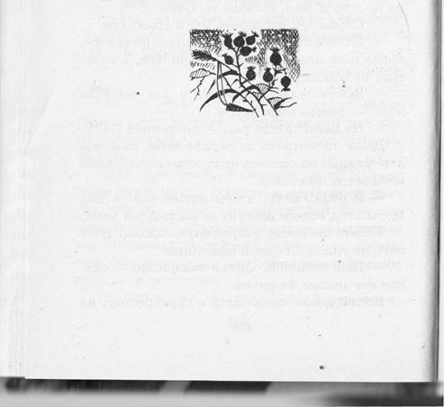 Иллюстрация к книге — Исполнитель желаний [i_007.jpg]