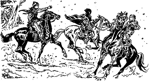 Иллюстрация к книге — Кошмар под Новый год [i_002.jpg]