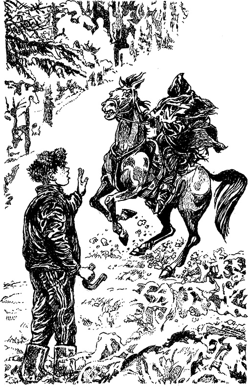 Иллюстрация к книге — Кошмар под Новый год [i_004.jpg]