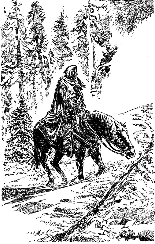 Иллюстрация к книге — Кошмар под Новый год [i_005.jpg]