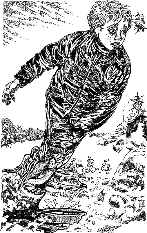 Иллюстрация к книге — Кошмар под Новый год [i_007.jpg]