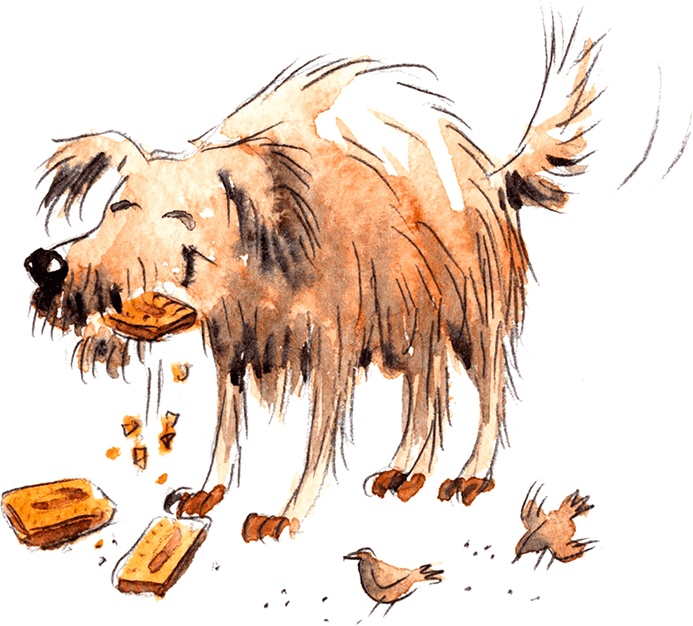 Иллюстрация к книге — Бесконечность и дальше [i_019.jpg]