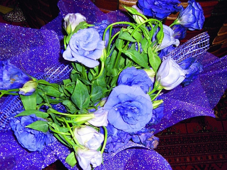 Иллюстрация к книге — Цимус-цимес по-московски и канавински [i_032.jpg]