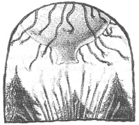 Иллюстрация к книге — Магия, зло и бриллиант. Чисто убийственная трилогия [i_008.jpg]