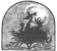 Иллюстрация к книге — Магия, зло и бриллиант. Чисто убийственная трилогия [i_011.jpg]