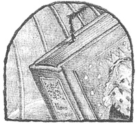 Иллюстрация к книге — Магия, зло и бриллиант. Чисто убийственная трилогия [i_015.jpg]