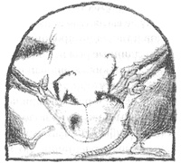 Иллюстрация к книге — Магия, зло и бриллиант. Чисто убийственная трилогия [i_017.jpg]