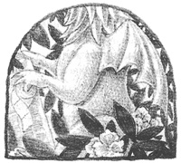 Иллюстрация к книге — Магия, зло и бриллиант. Чисто убийственная трилогия [i_022.jpg]