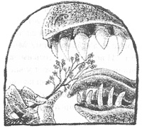 Иллюстрация к книге — Магия, зло и бриллиант. Чисто убийственная трилогия [i_033.jpg]